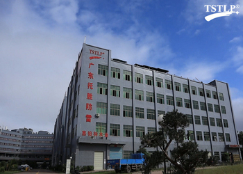 China TS Lightning Protection Co.,Limited factory